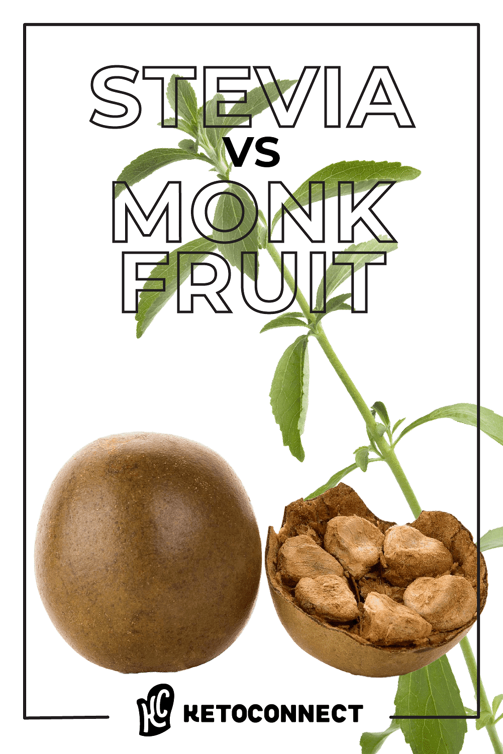 Stevia Vs Monk Fruit: qual è per Keto?