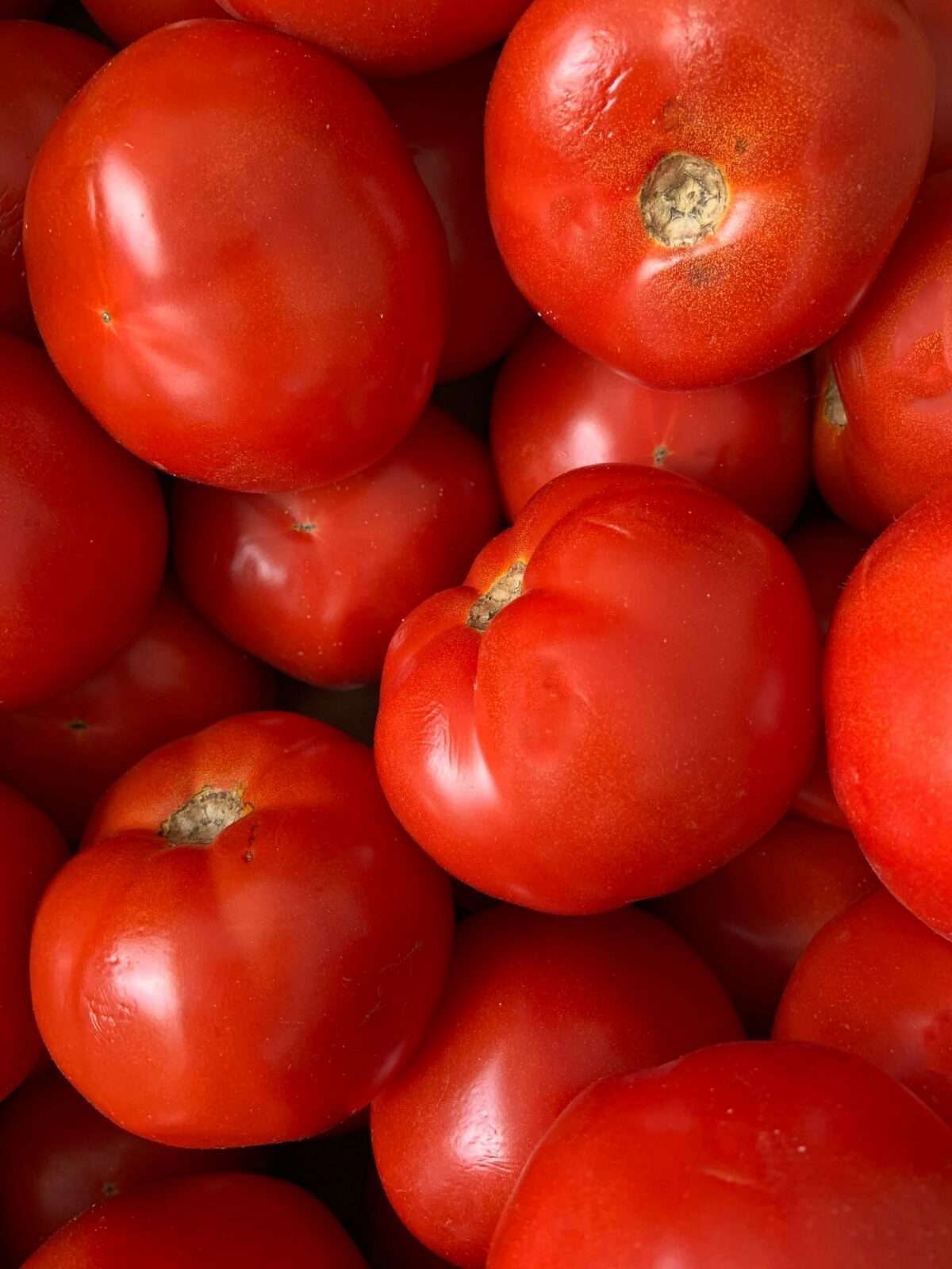 I pomodori sono cheto?  Pomodori su una dieta cheto: consigli, ricette e sostituti