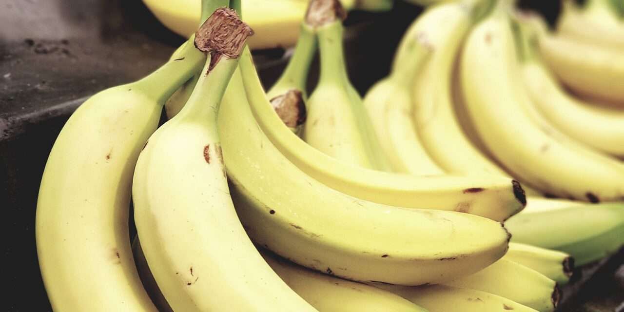 Le banane sono cheto?  Banane durante una dieta cheto: consigli, ricette e sostituti