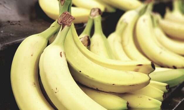 Le banane sono cheto?  Banane durante una dieta cheto: consigli, ricette e sostituti